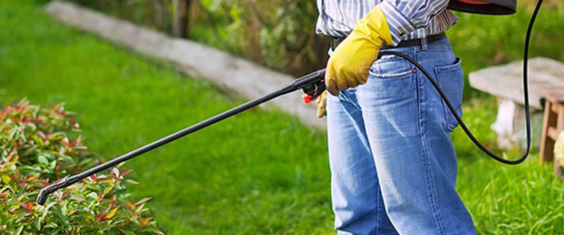 How much does lawn pest control cost?