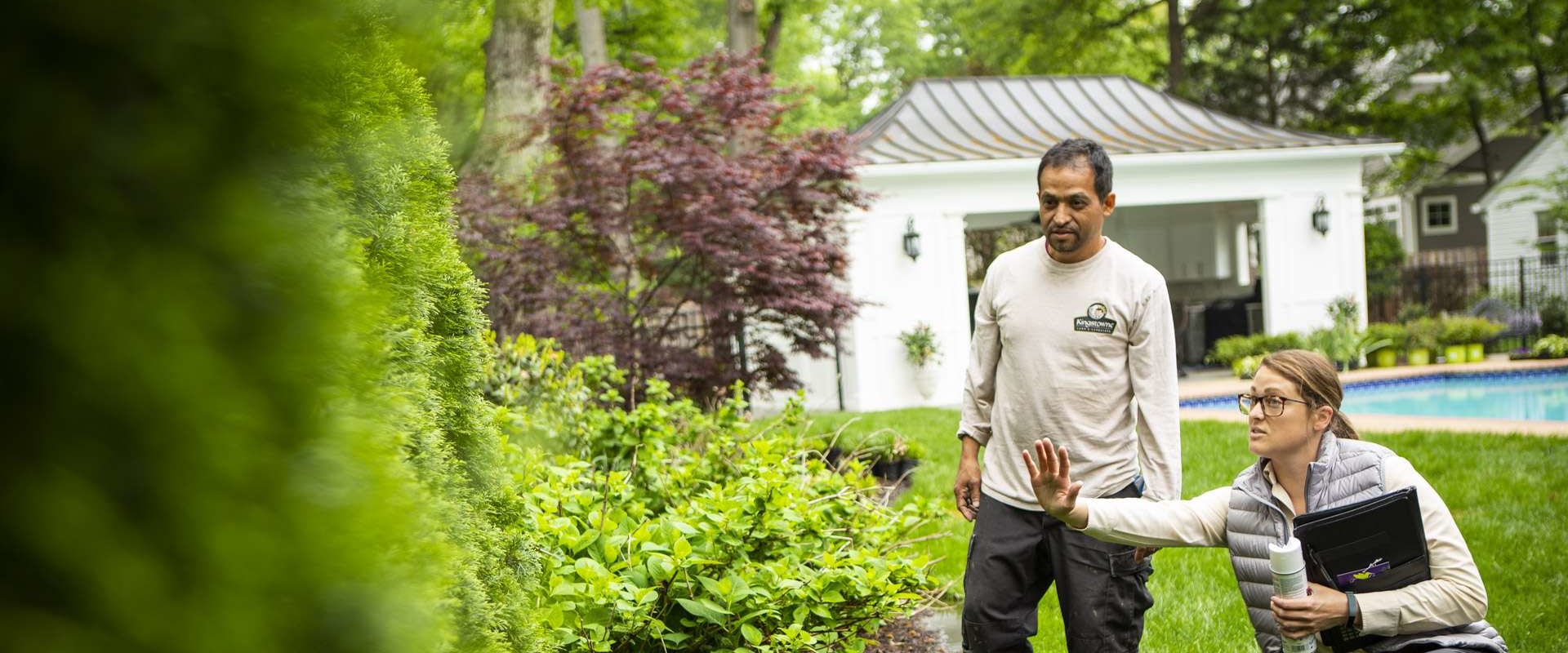 How Routine Lawn Care Service Supports Long-Term Lawn Pest Control In Northern VA