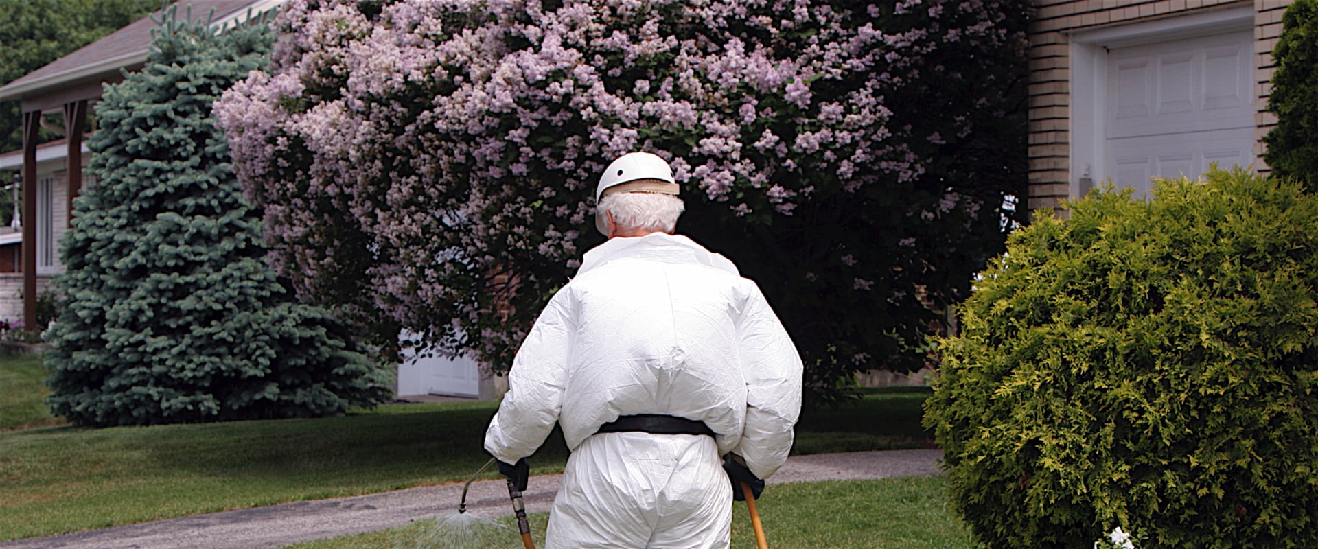 What is lawn pesticide?