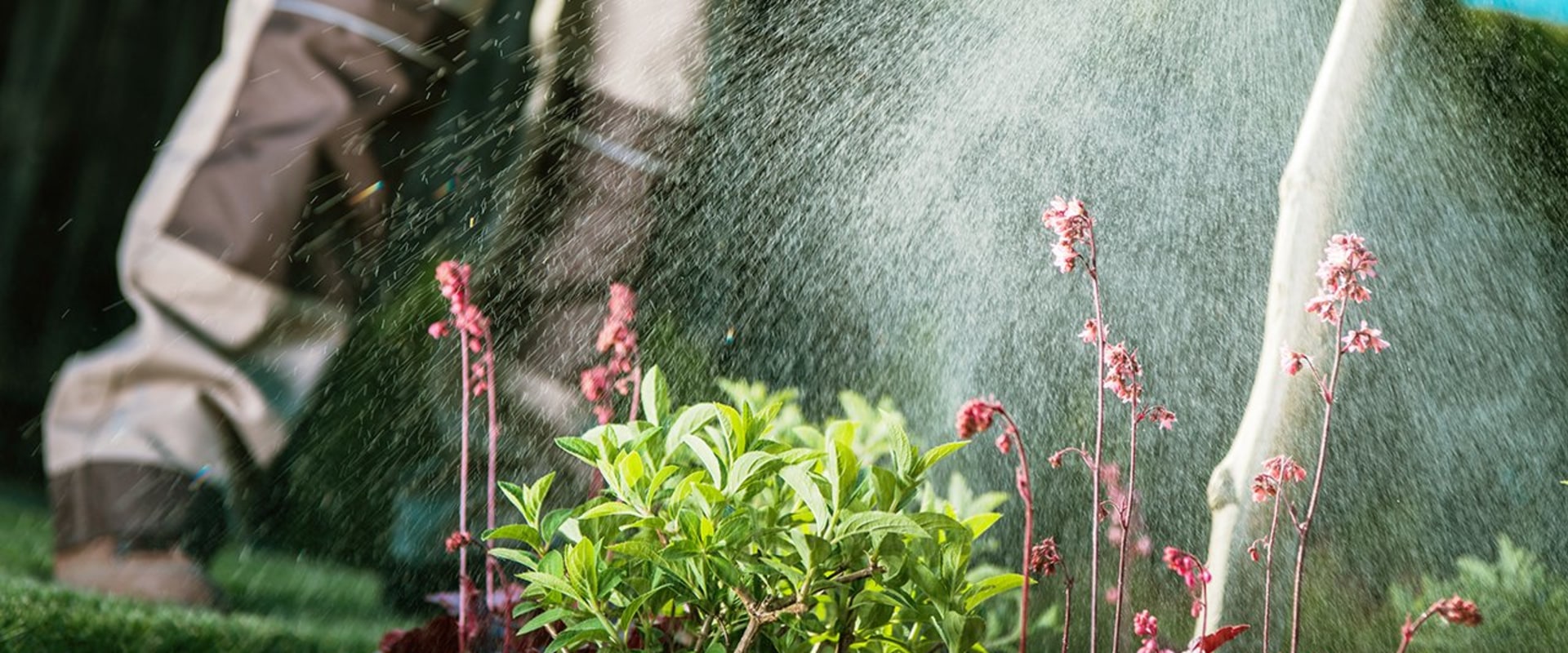 Are lawn pesticides harmful to humans?