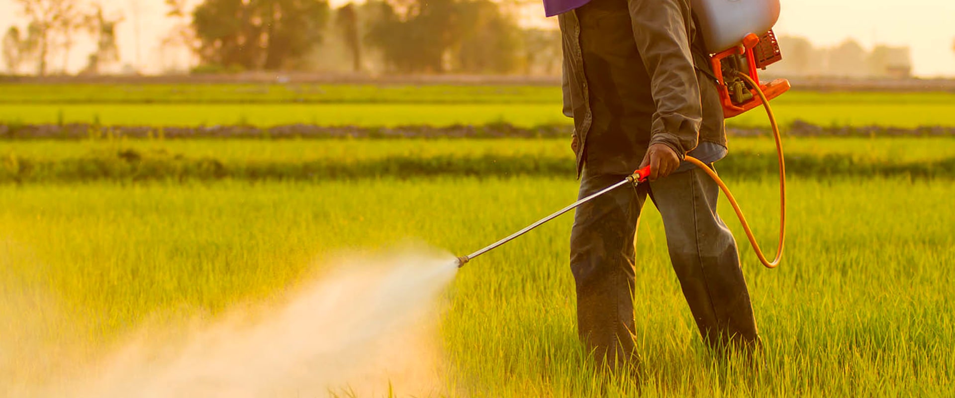 Do lawn pesticides cause cancer?