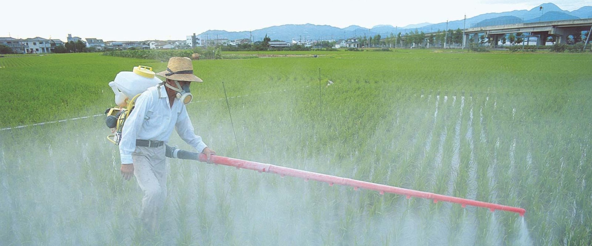 What are some disadvantages of pesticides?