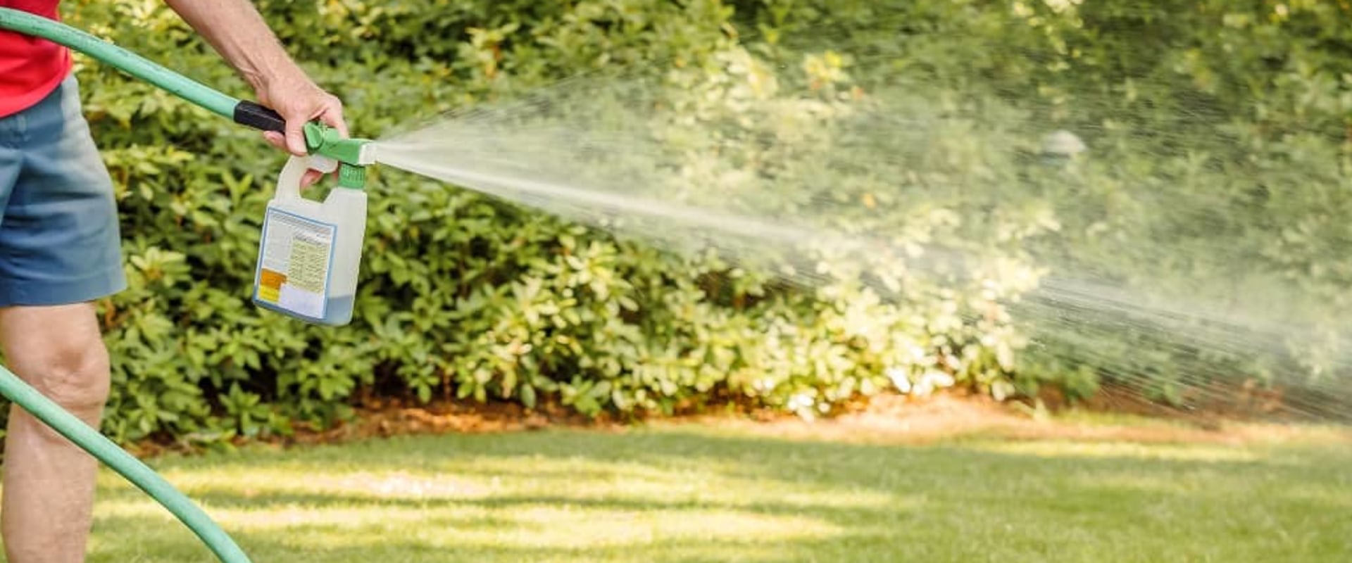 When to apply bug control for lawns?