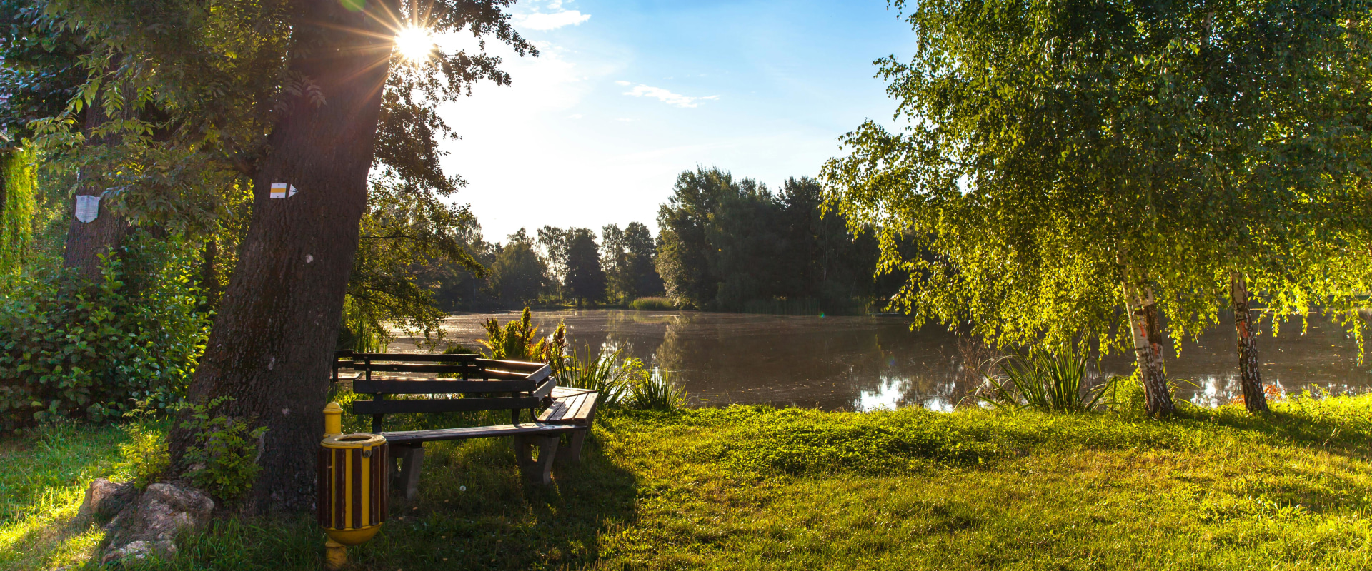 Effective Lawn Pest Control and Tree Services in Damascus