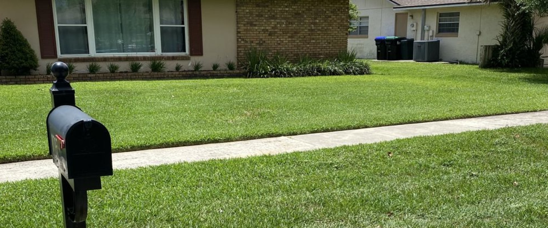 Lawn Pest Control In Orlando: The Hidden Key To Curb Appeal And Home Value