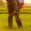Do lawn pesticides cause cancer?