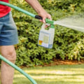 When to apply bug control for lawns?
