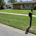 Lawn Pest Control In Orlando: The Hidden Key To Curb Appeal And Home Value