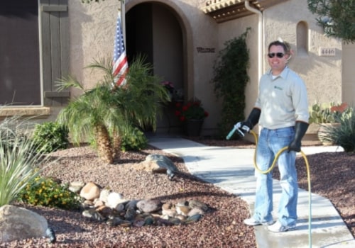 Why Professional Lawn Pest Control Is Essential For A Beautiful Yard In Forney, TX