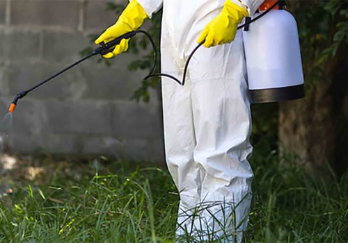 All You Need To Know About Termite Treatment And Lawn Pest Control In Southern California