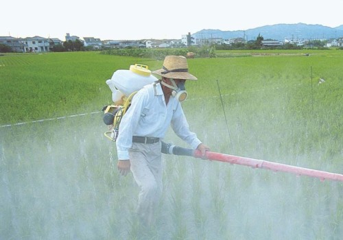 What are some disadvantages of pesticides?