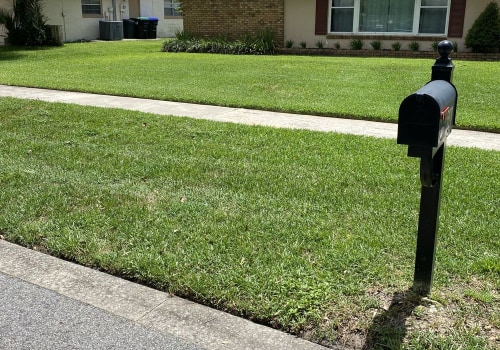 Lawn Pest Control In Orlando: The Hidden Key To Curb Appeal And Home Value